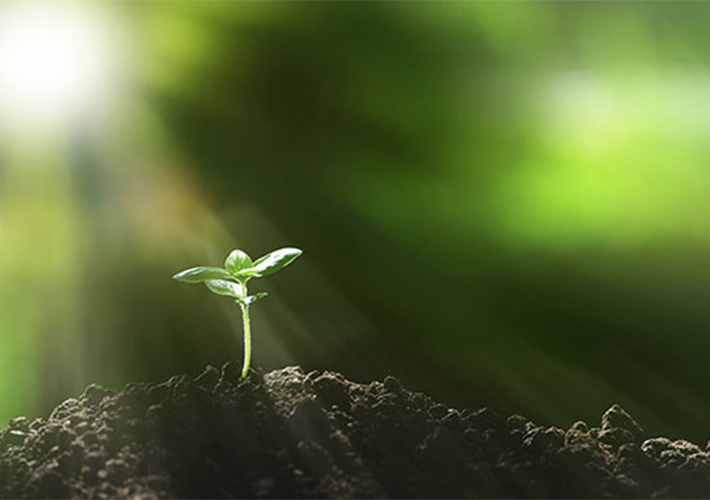 foto noticia Serialization and aggregation: two essentials for efficient and lasting traceability in the phytosanitary sector.